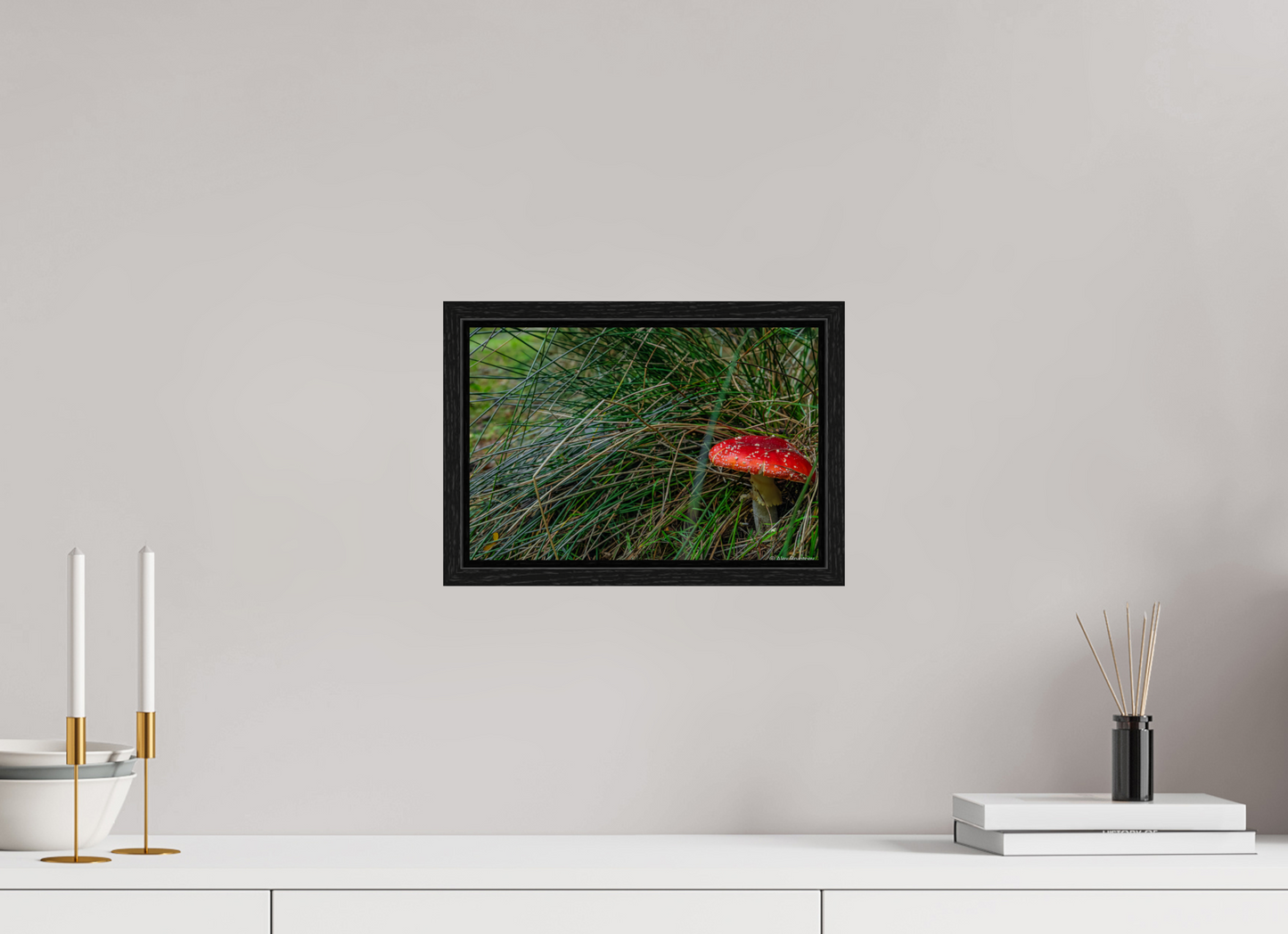 Enchanting Forest Mushroom Print Wall Art Nature Photography