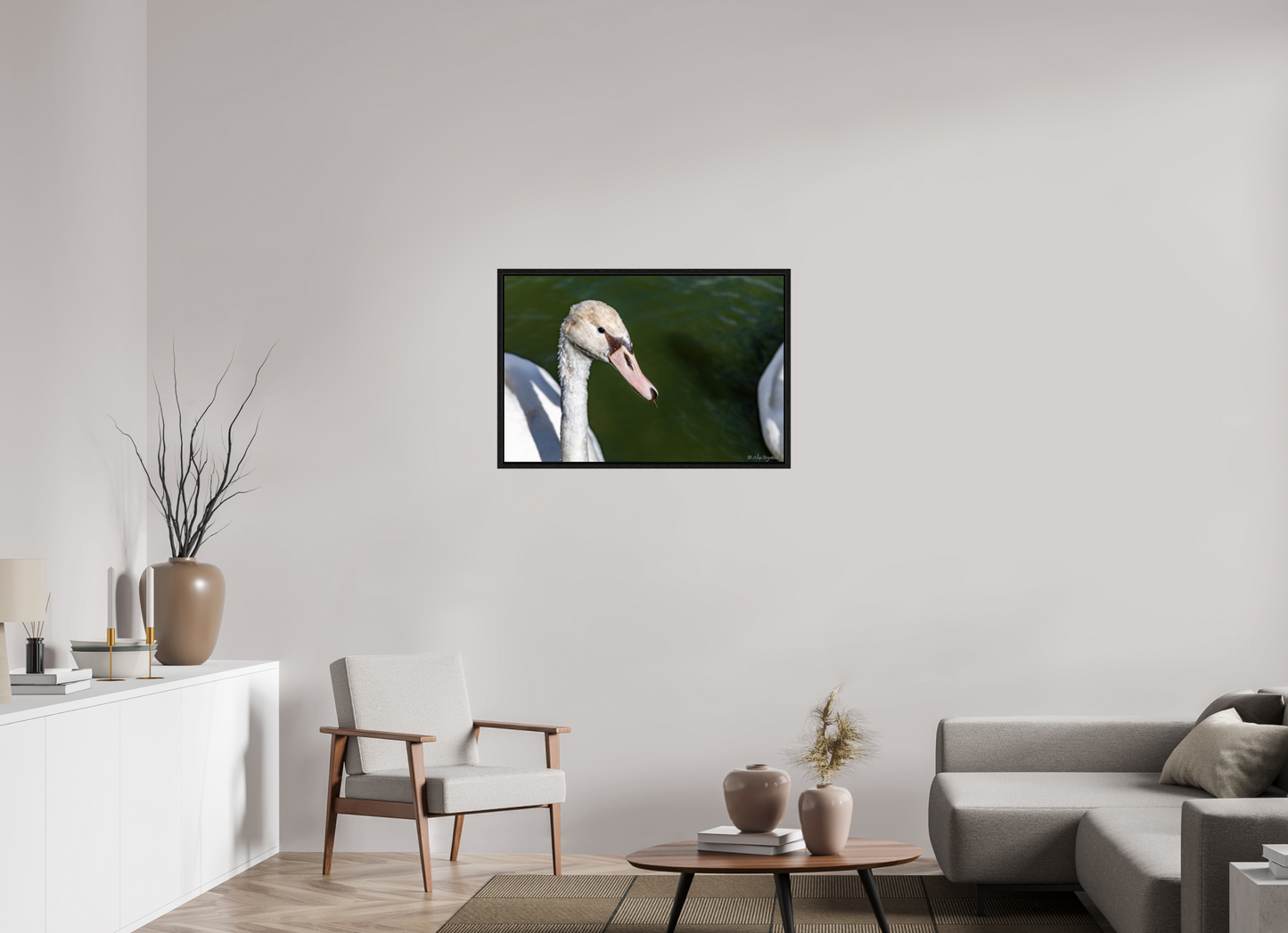 Serene Swan Portrait Wall Art - Nature Photography Print