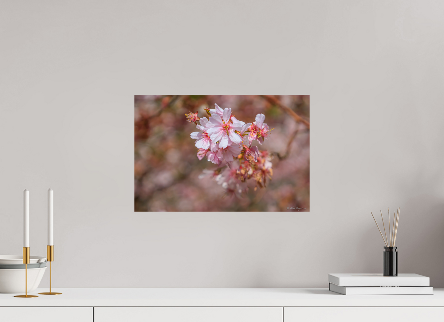 Breathtaking Cherry Blossom Art Print - Premium Quality