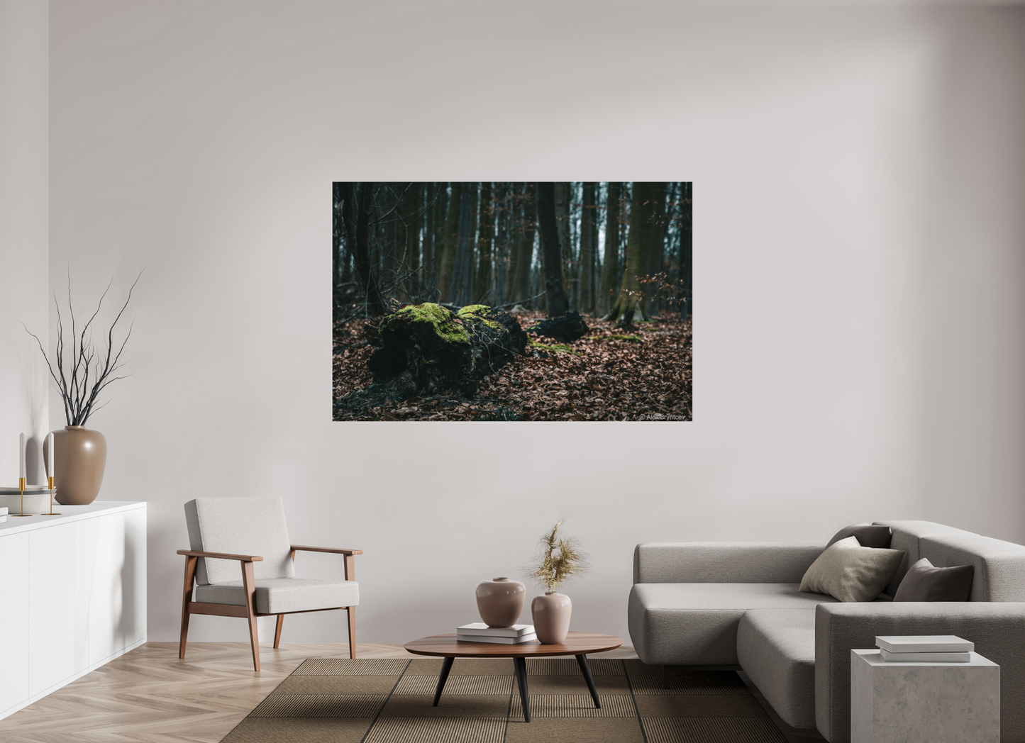 Enchanting Forest Floor Print Woodland Photography Art Wall Decor