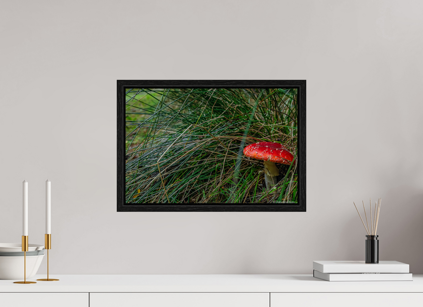 Enchanting Forest Mushroom Print Wall Art Nature Photography