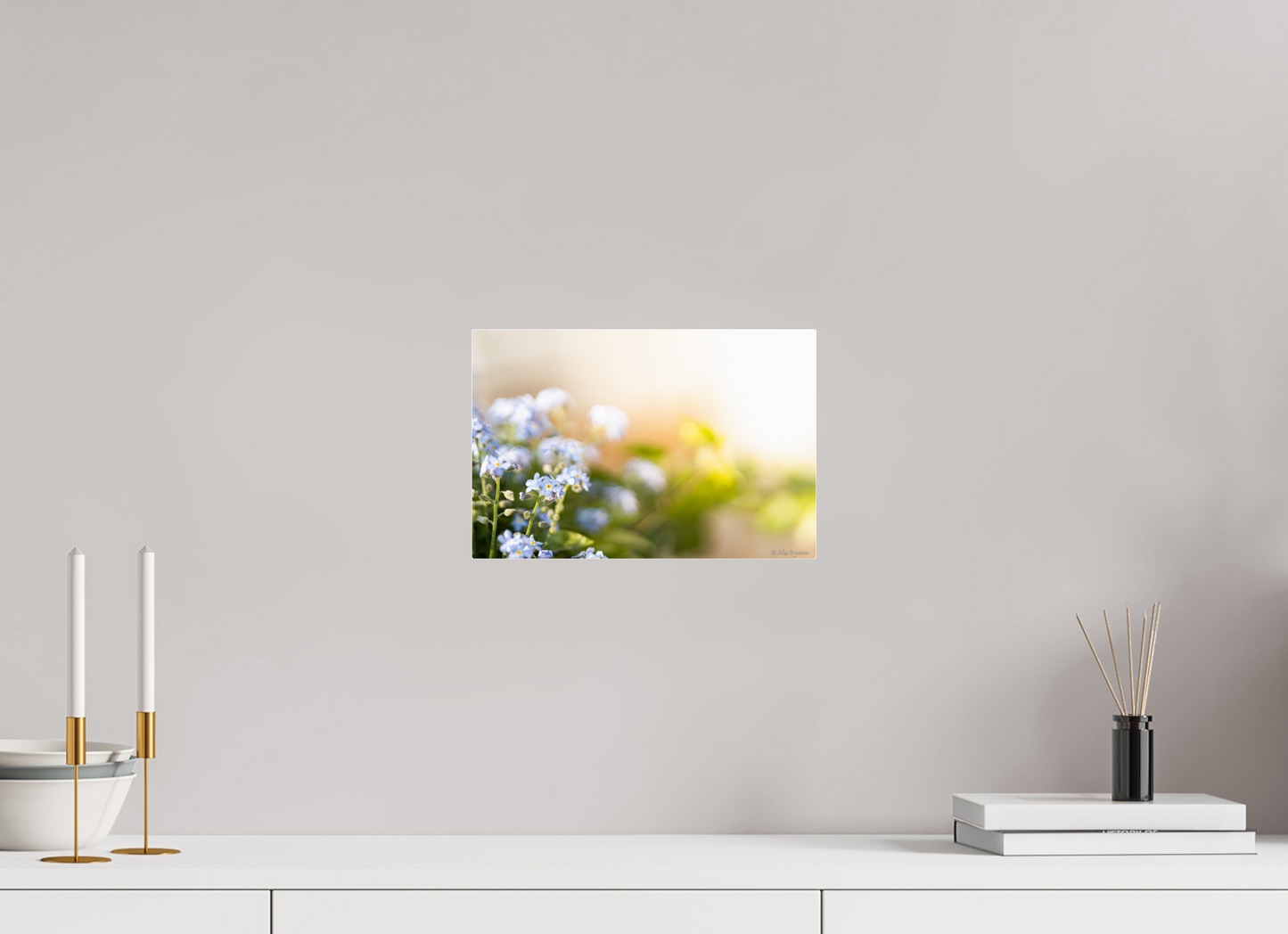 Forget Me Not Flower Print Soft Pastel Floral Wall Art Nature Home Decor