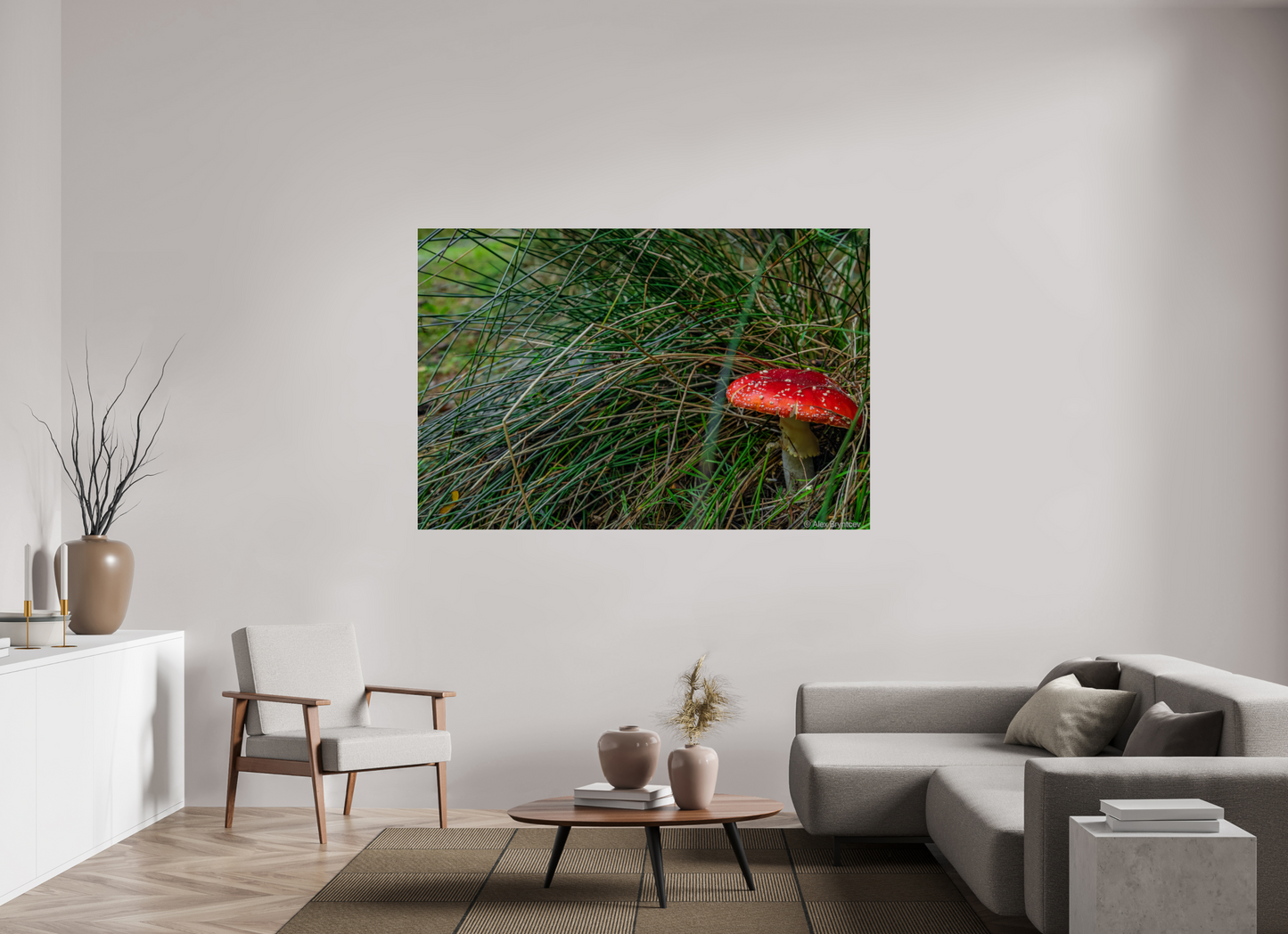 Enchanting Forest Mushroom Print Wall Art Nature Photography