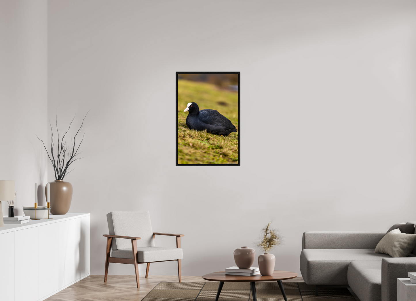 Elegant Coot Bird Art Print on Premium Paper Multiple Sizes Available