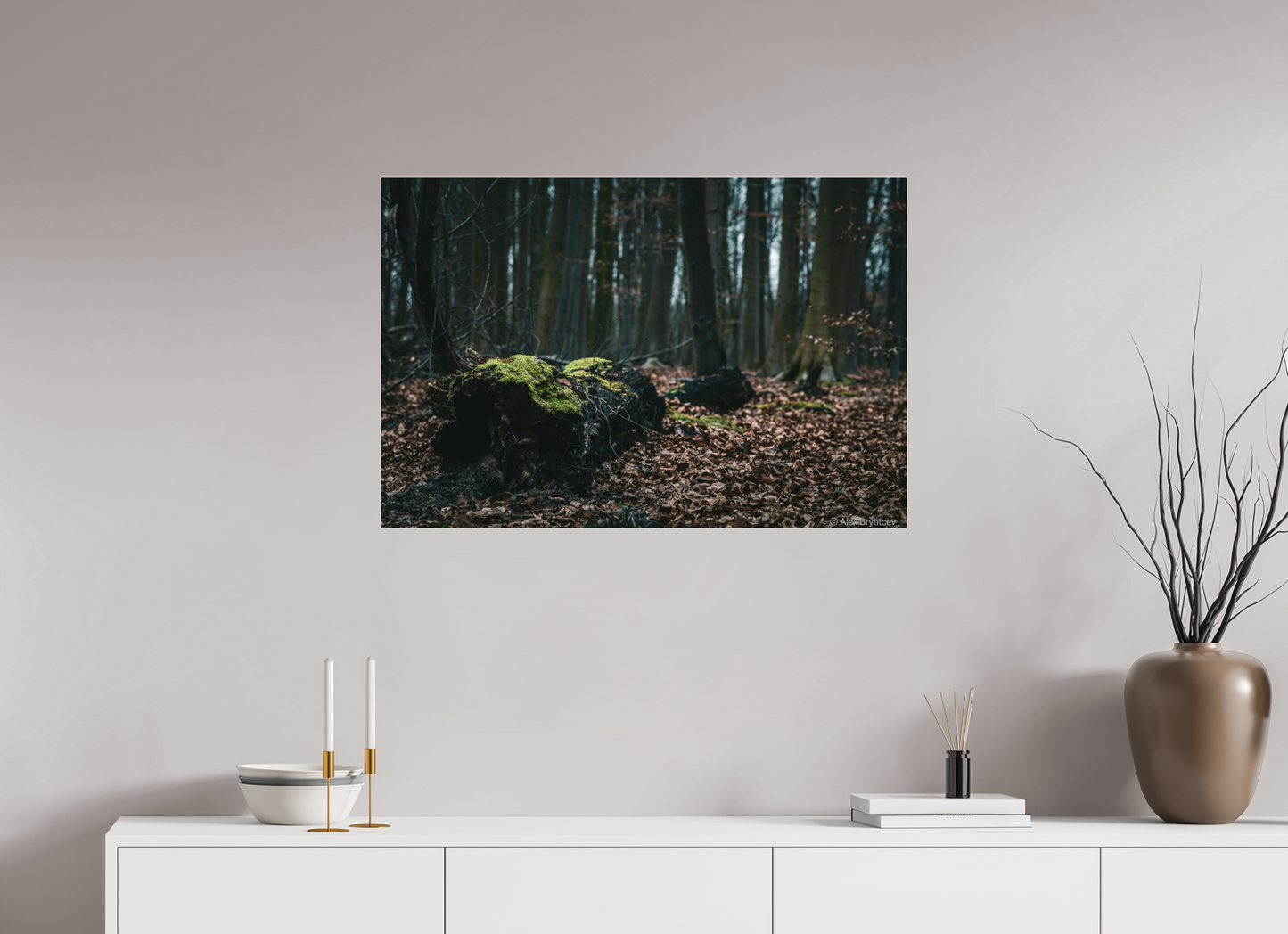 Enchanting Forest Floor Print Woodland Photography Art Wall Decor