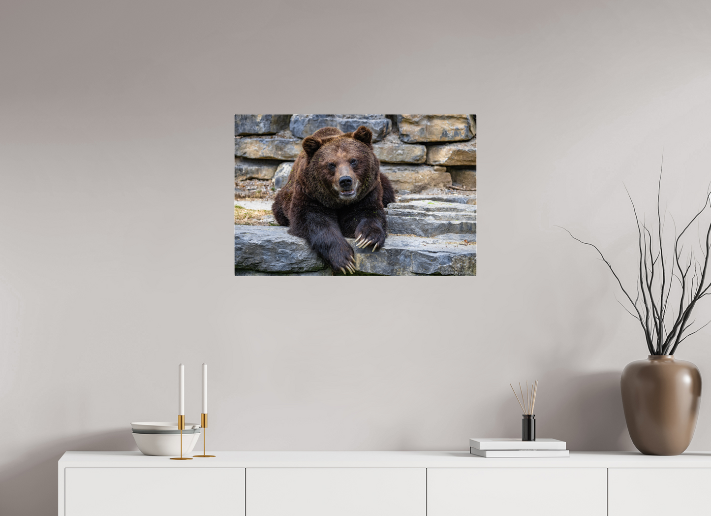 Majestic Bear Art Print Rustic Wildlife Photography Wall Decor