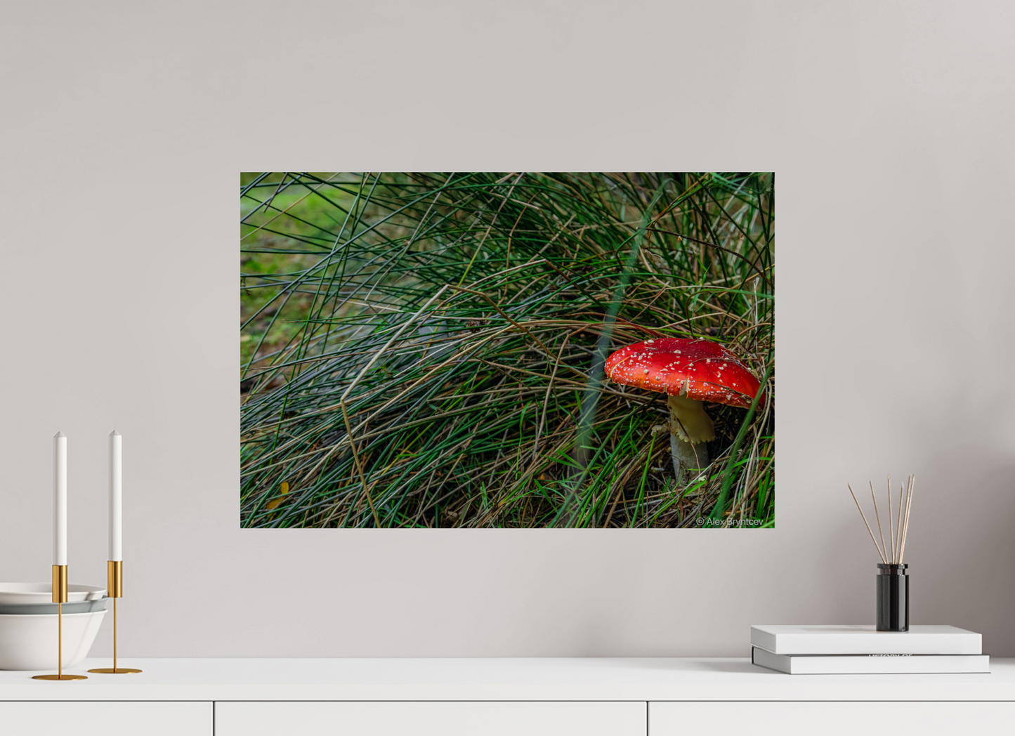 Enchanting Forest Mushroom Print Wall Art Nature Photography