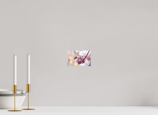 Elegant Pink Blossom Art Print for Home Decor on Premium Paper
