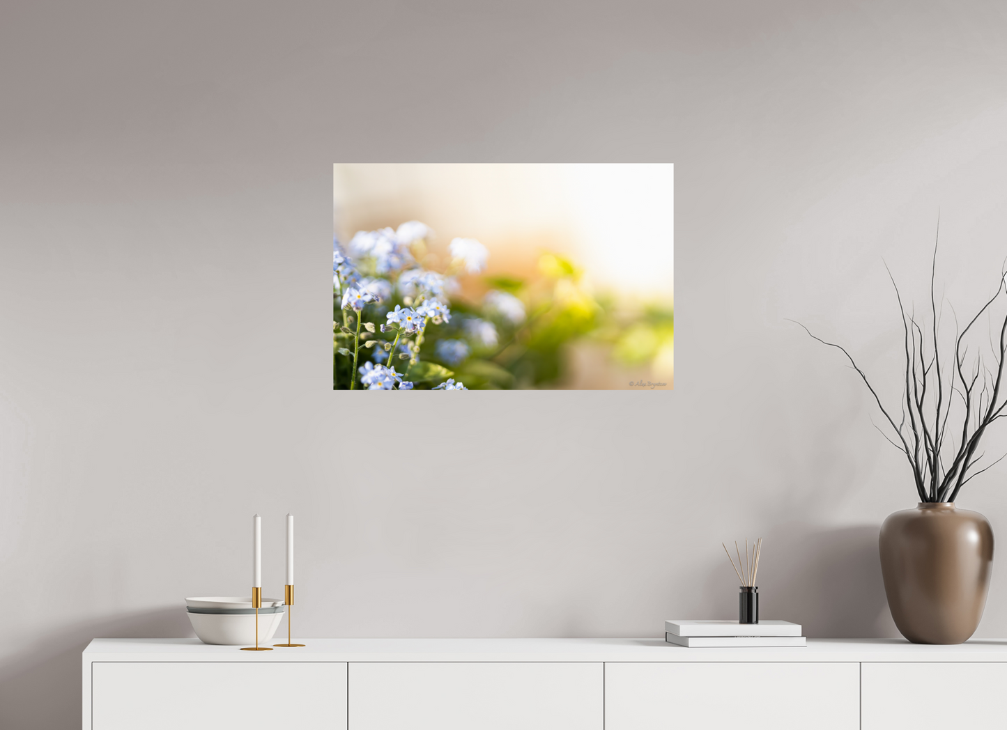 Forget Me Not Flower Print Soft Pastel Floral Wall Art Nature Home Decor