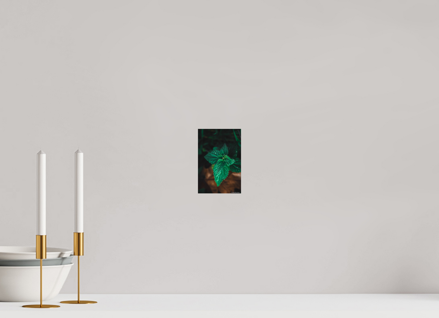Captivating Green Leaf Print Nature Inspired Wall Art on Premium Paper