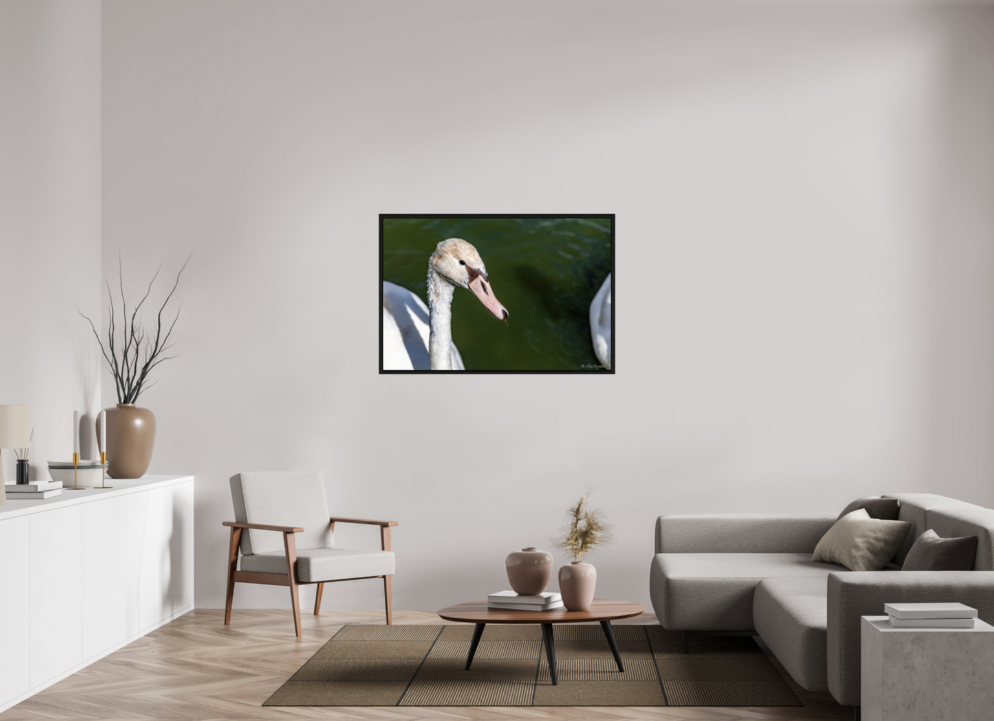 Serene Swan Portrait Wall Art - Nature Photography Print