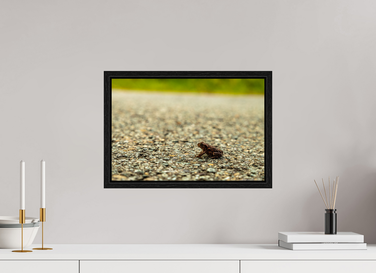 Captivating Close-Up of Tiny Frog on a Journey Fine Art Print