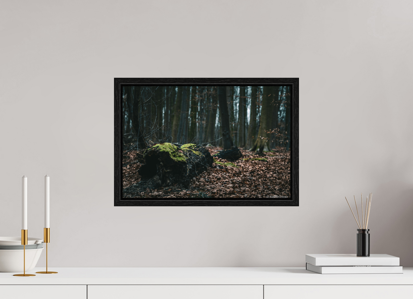 Enchanting Forest Floor Print Woodland Photography Art Wall Decor