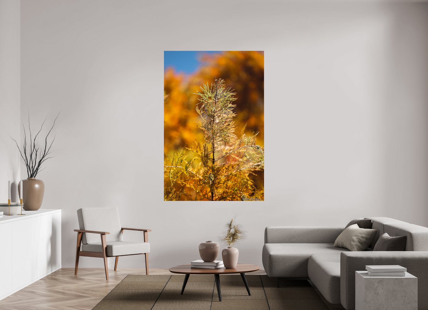 Autumn Glory Nature Print on Premium Paper Available in Multiple Sizes