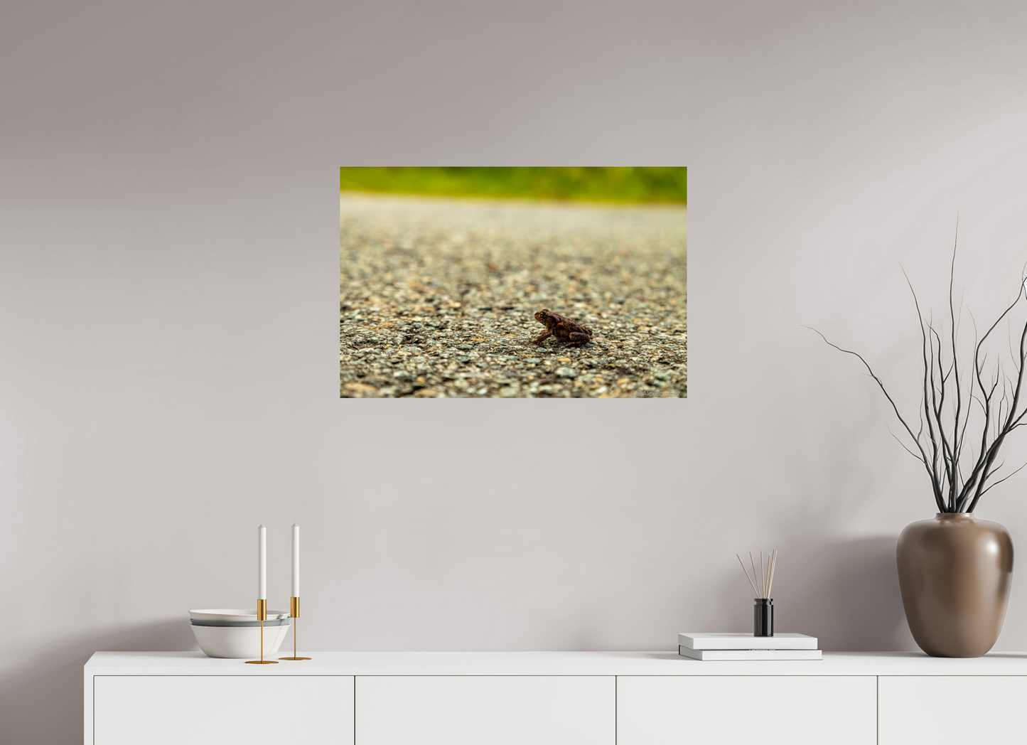 Captivating Close-Up of Tiny Frog on a Journey Fine Art Print