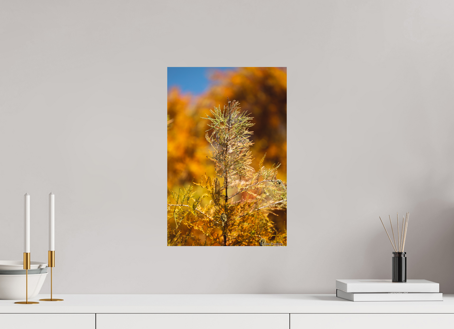 Autumn Glory Nature Print on Premium Paper Available in Multiple Sizes