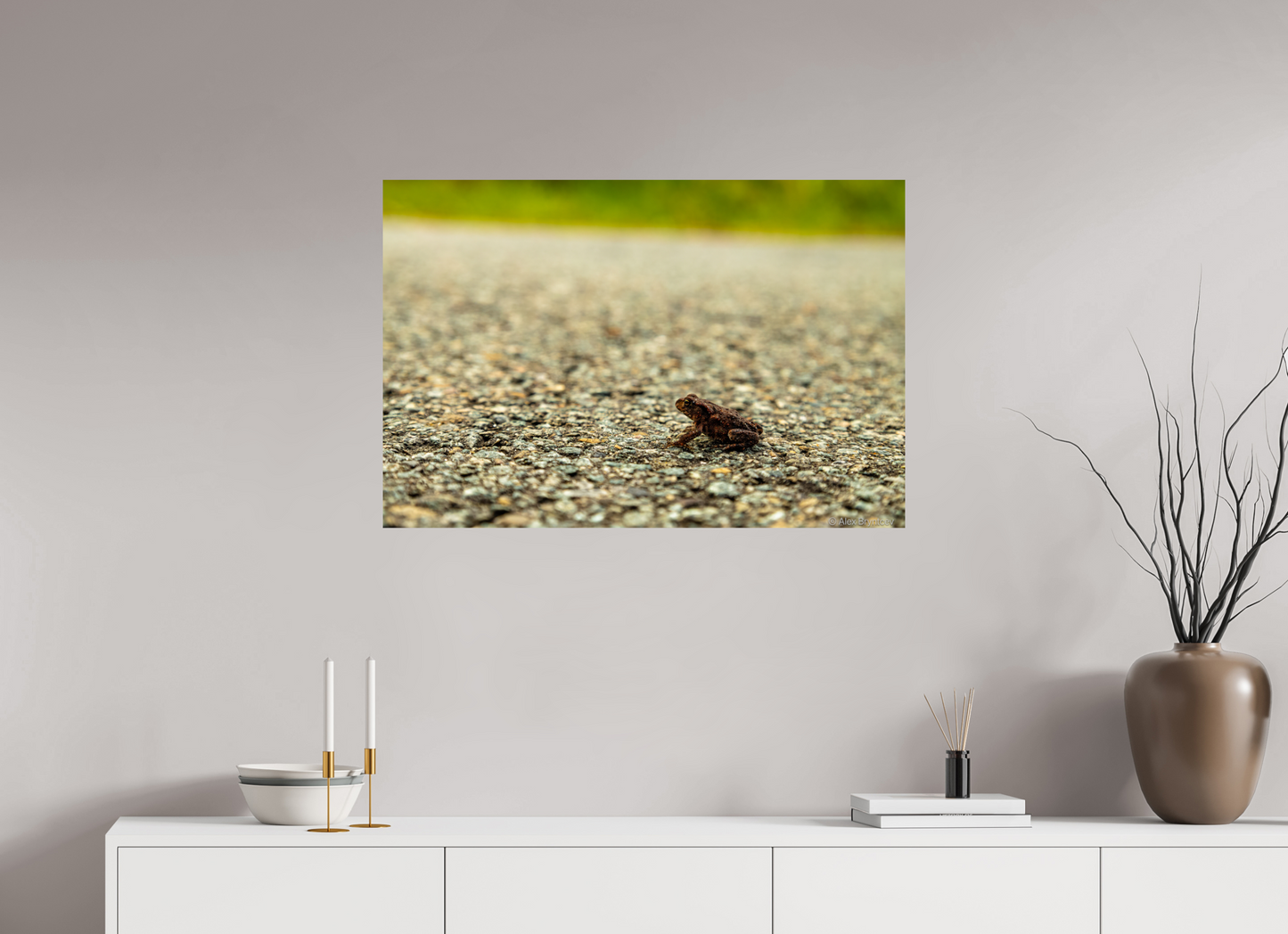 Captivating Close-Up of Tiny Frog on a Journey Fine Art Print