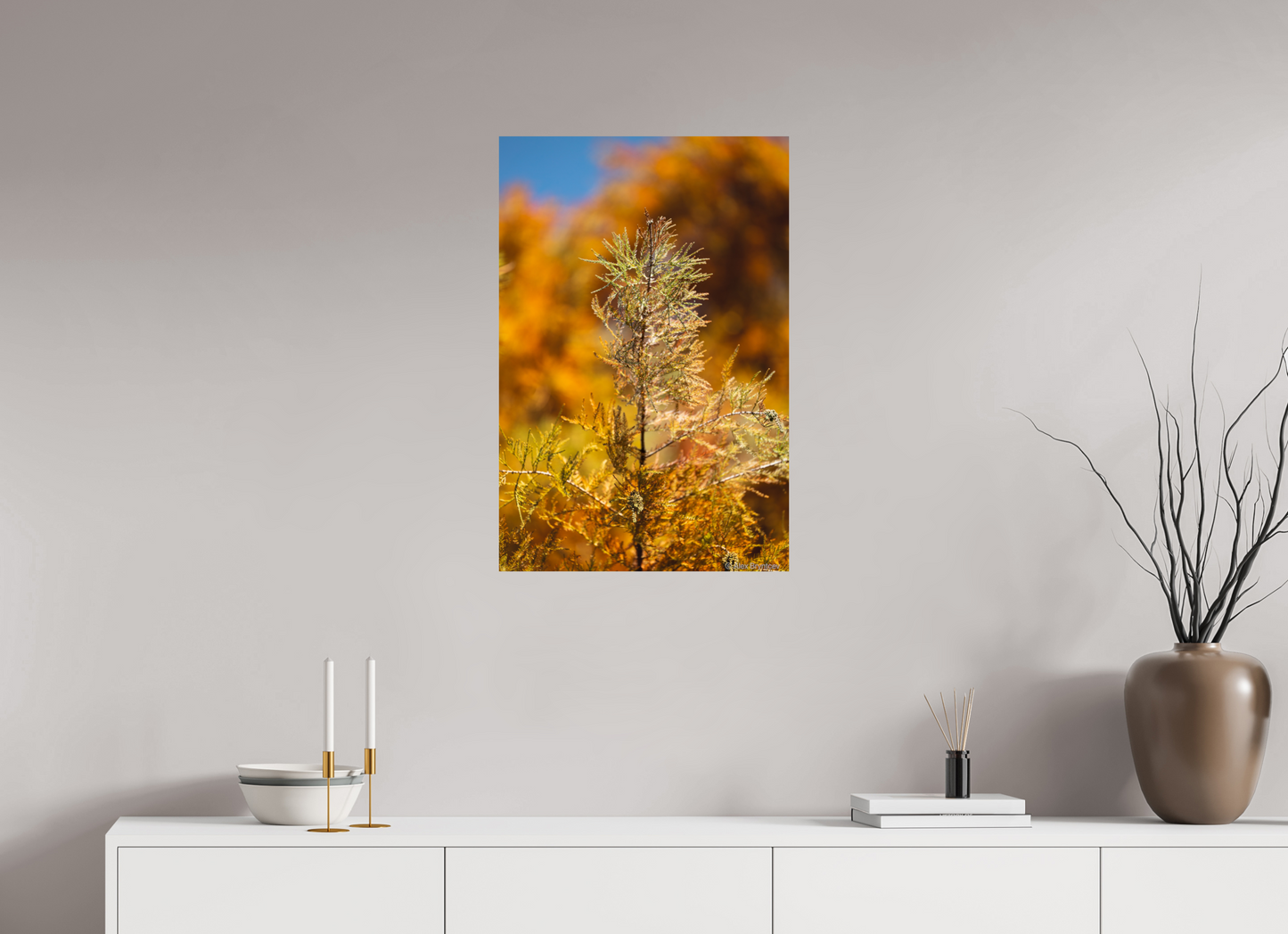 Autumn Glory Nature Print on Premium Paper Available in Multiple Sizes