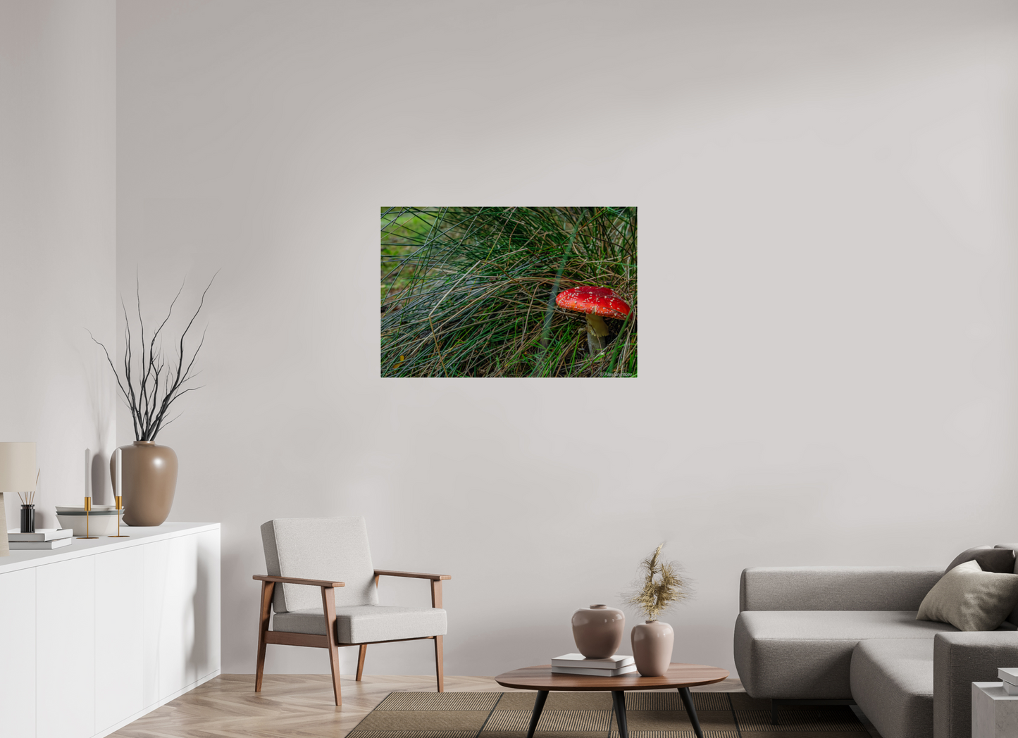 Enchanting Forest Mushroom Print Wall Art Nature Photography