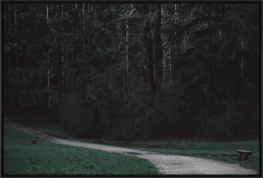 Enchanting Forest Pathway Print - Dark Nature Photography Wall Art