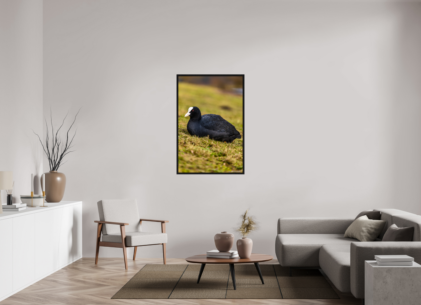 Elegant Coot Bird Art Print on Premium Paper Multiple Sizes Available