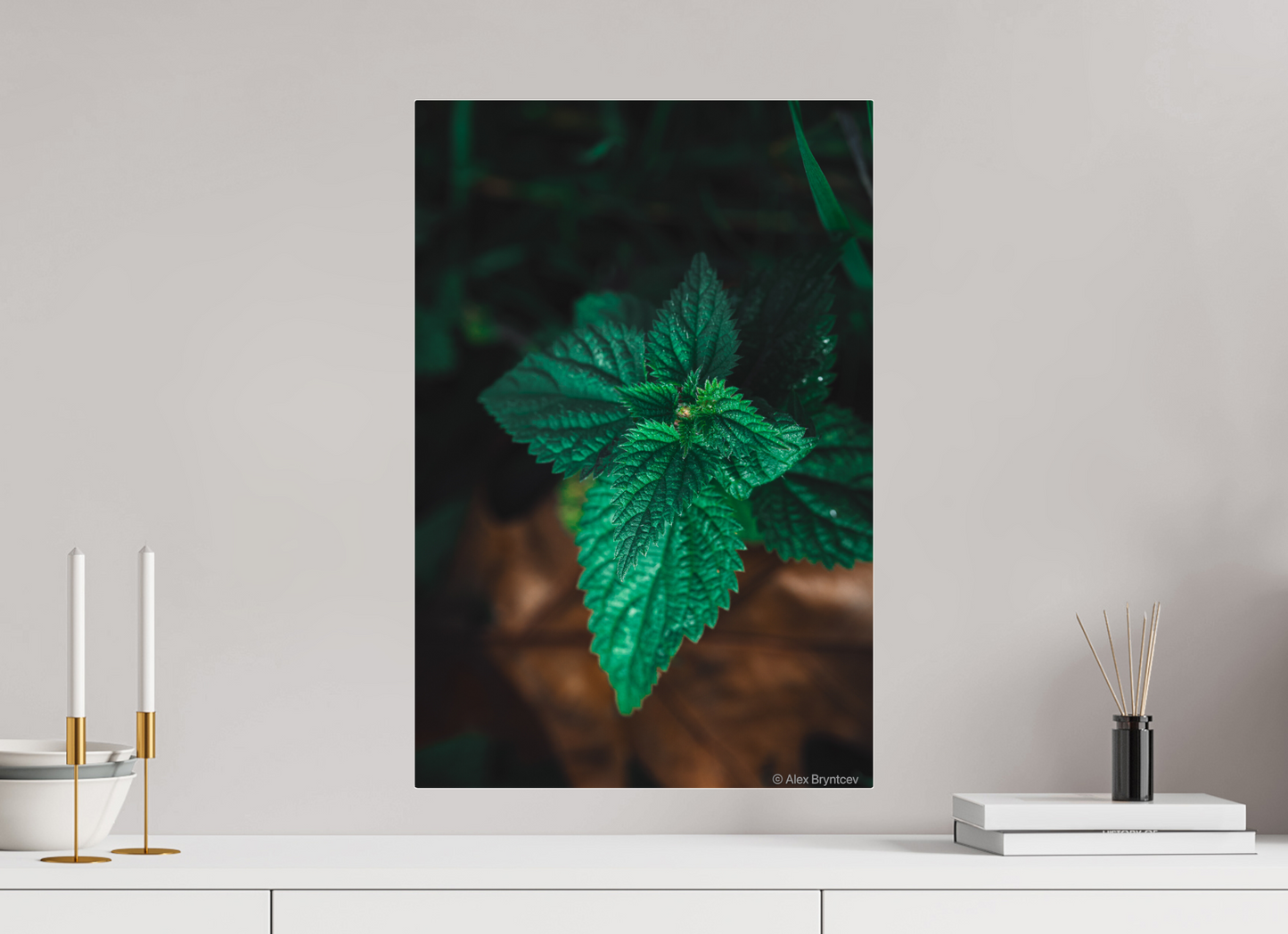 Captivating Green Leaf Print Nature Inspired Wall Art on Premium Paper