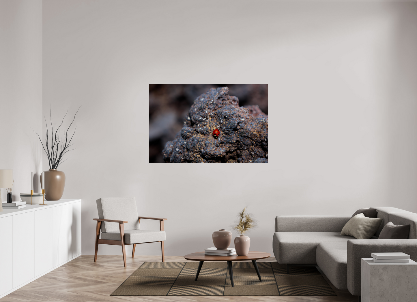 Vibrant Ladybug on Rocky Terrain Fine Art Print Multiple Sizes Available