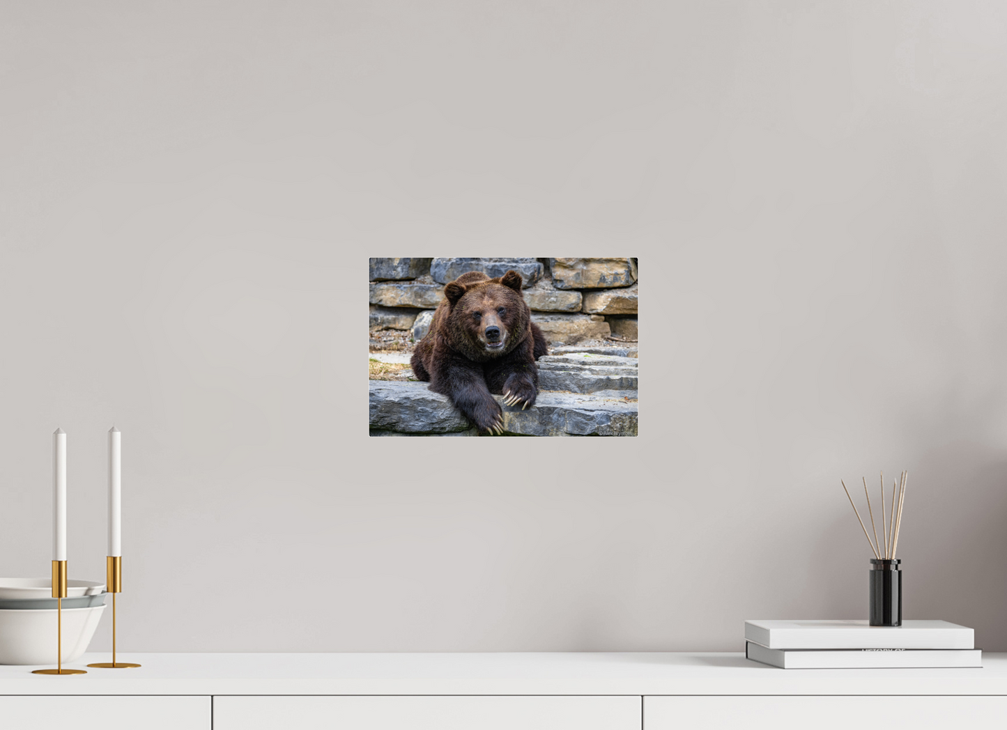 Majestic Bear Art Print Rustic Wildlife Photography Wall Decor